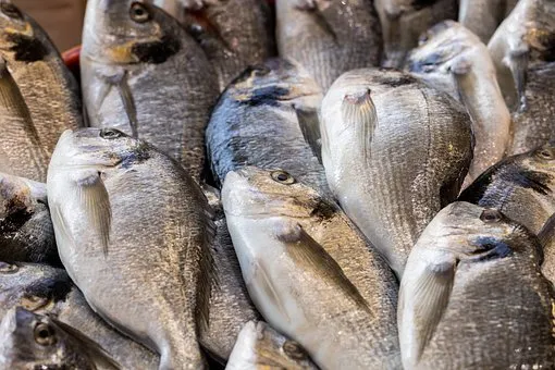Ямал впервые экспортировал 20 тонн рыбной продукции в Казахстан